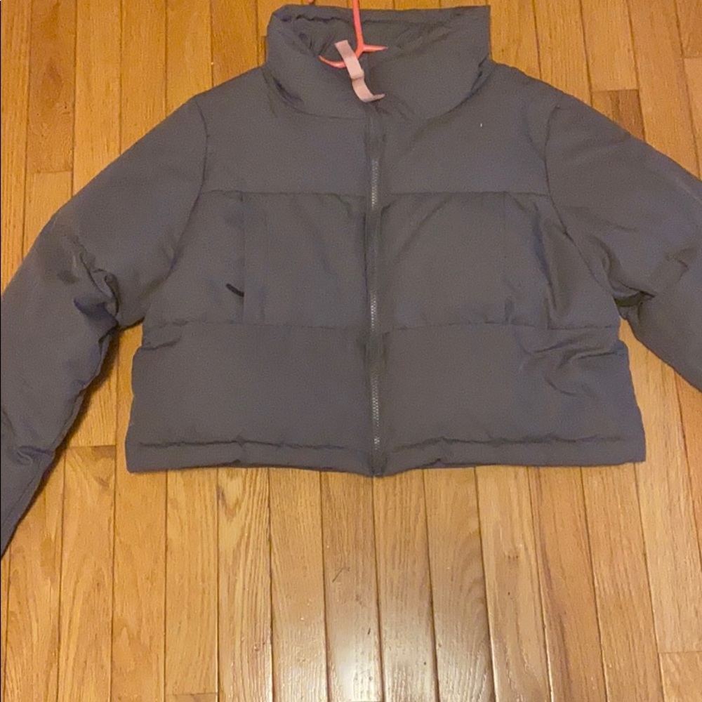 Gym Shark Jacket